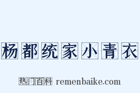 杨都统家小青衣是什么意思的图片